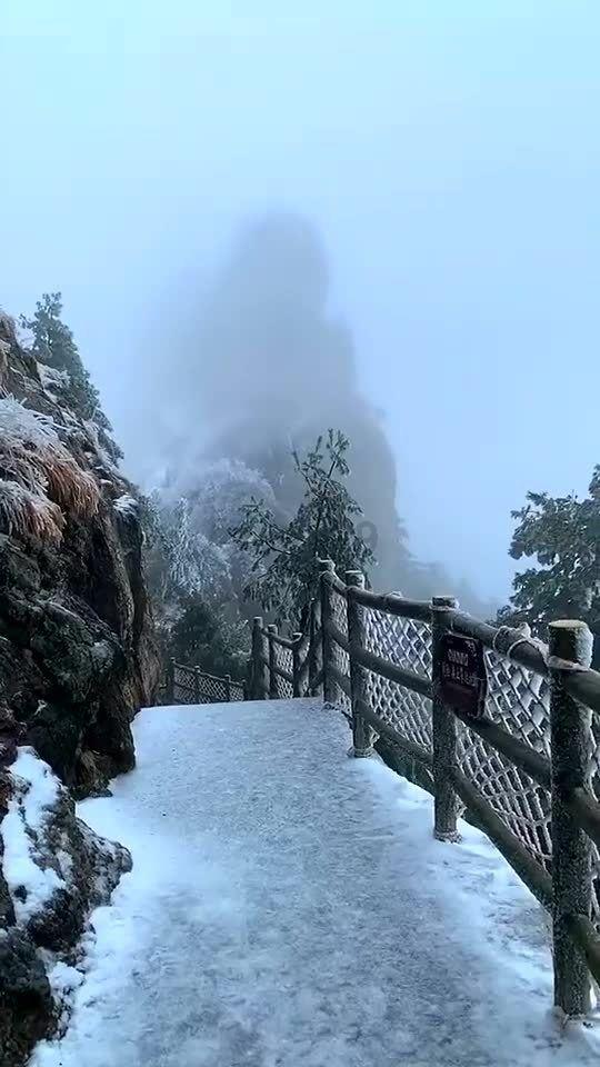 数码宝贝究极对决