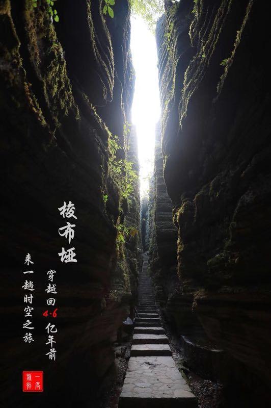 党政“一把手”谈耕地保护|汨罗市:稳住粮食“压舱石” 守好百姓“米袋子”