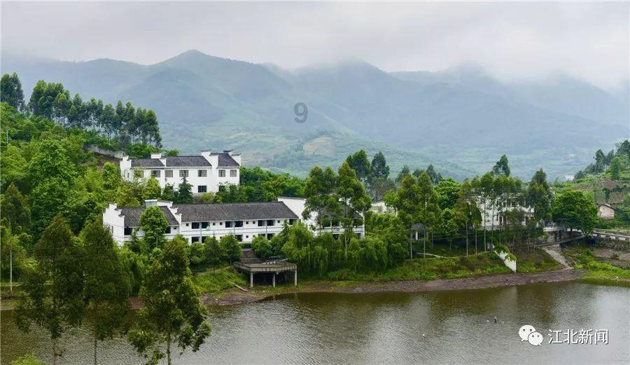 欧洲工控BURSTER Profibus模块 9221-IP65