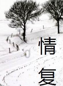 英文拼图