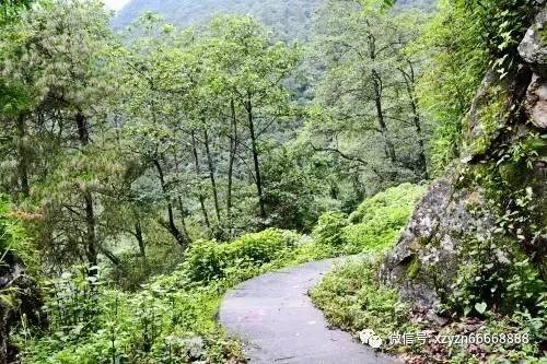 轩辕剑4外传：苍之涛