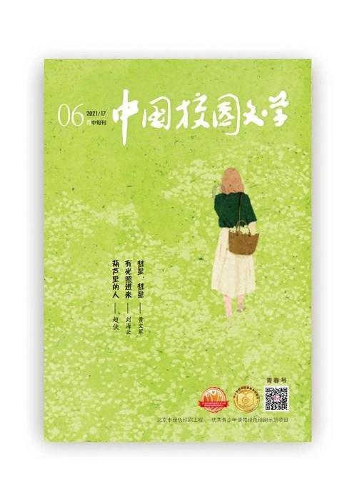 重庆市巴南区龙洲湾灯光璀璨,灯笼高挂,喜迎春节