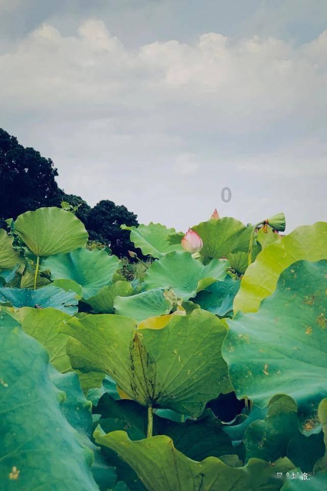 监狱建筑师