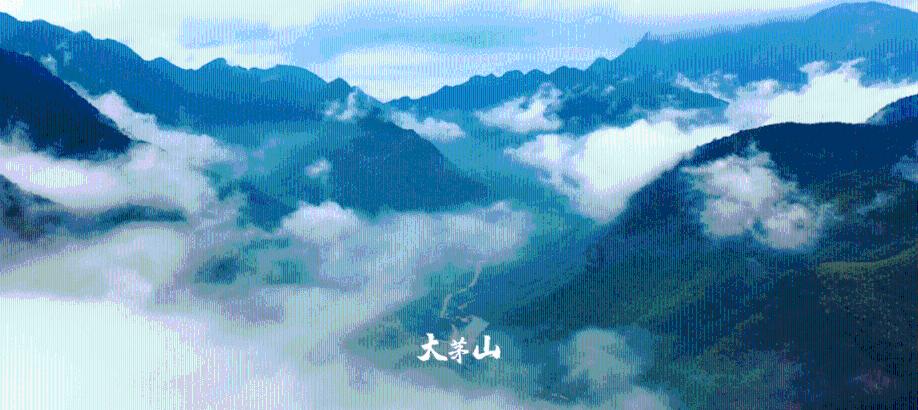 蓝狐视频