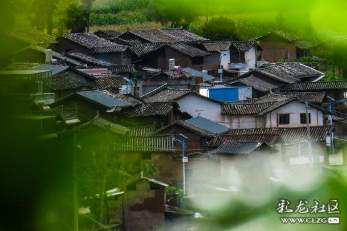 怪物大脚杯2