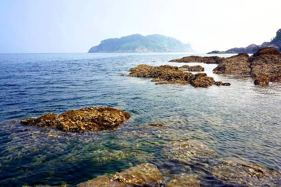 脑洞小老弟无实名认证