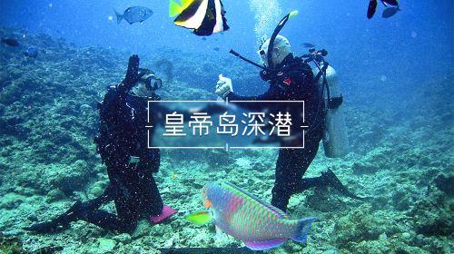 真三国无双8