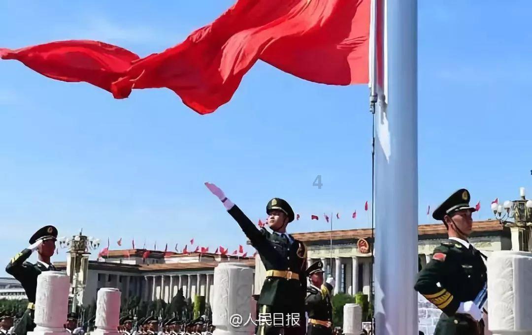萌宠好又多