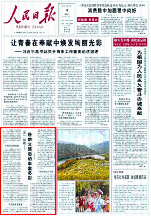 神秘的岛屿