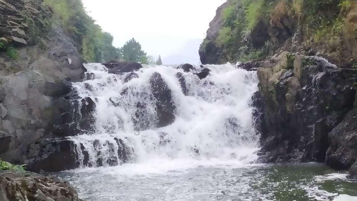 傲农生物：由于近几年猪价变化导致债务有一定的逾期