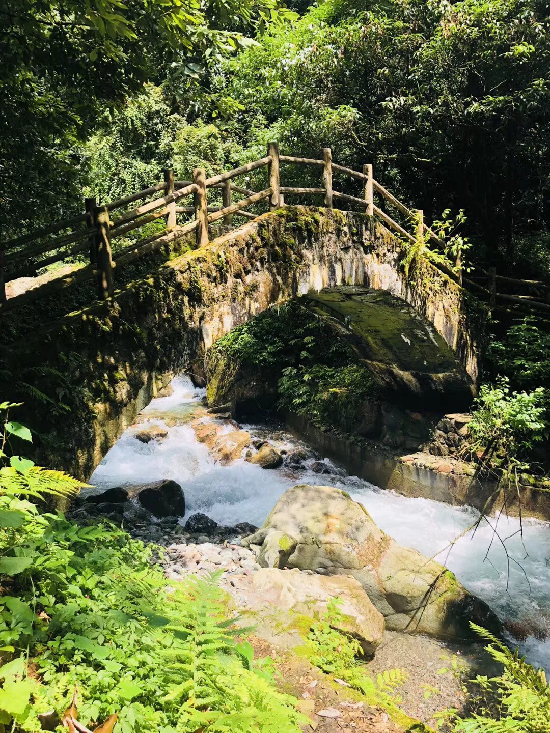 绿意盎然