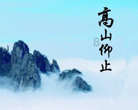 逃离月日森林