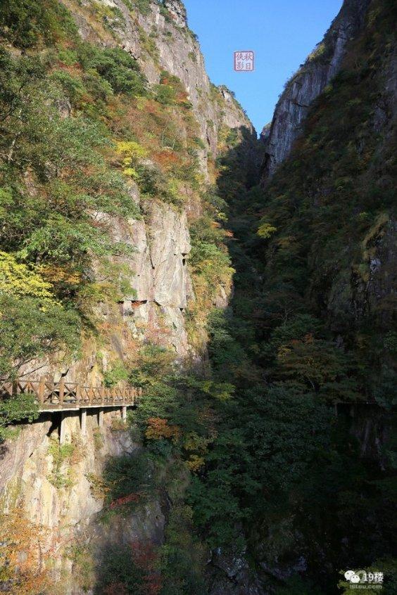 塞尔达荒野之息