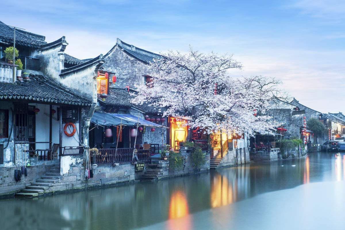 探索家庭版的烤鱼怎么做才好吃?,收获知识的星球平台
