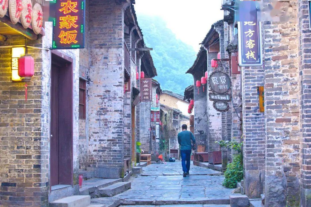 新华•青龙板栗产业发展指数发布 电商带来强劲发展动能