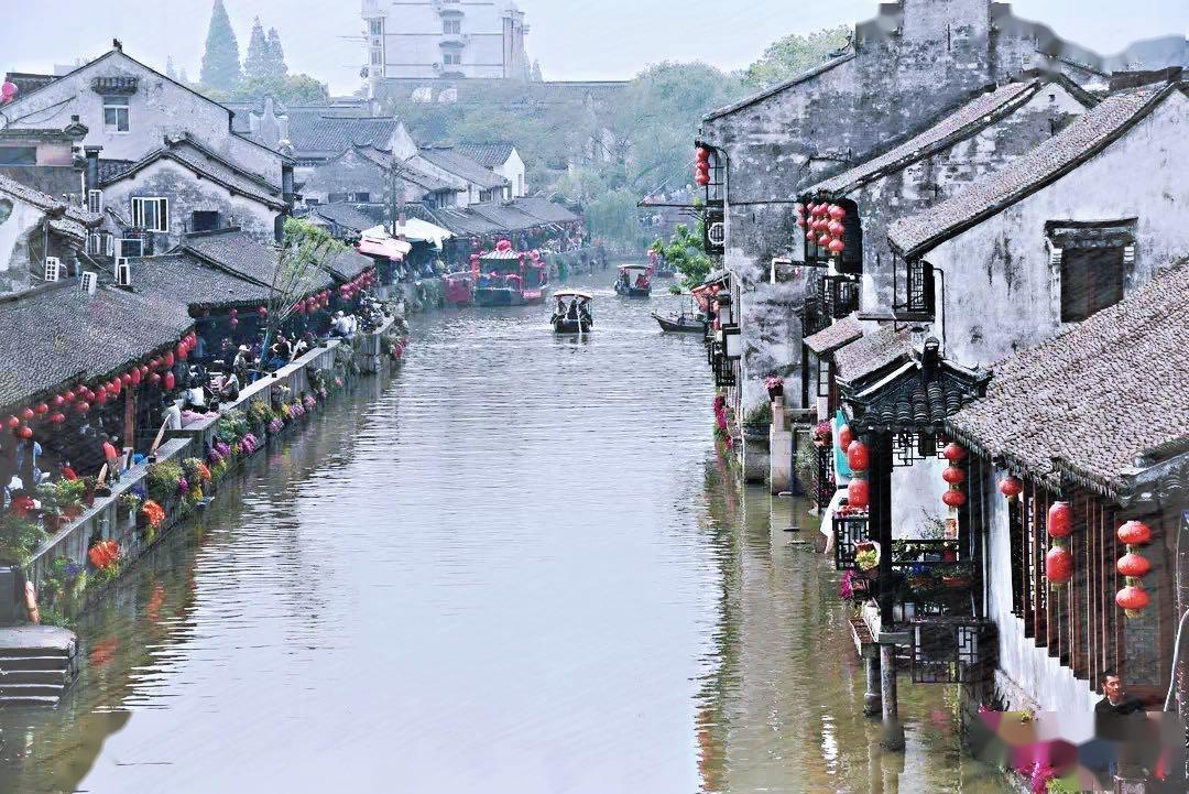 侍忍者